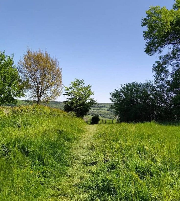 Nature Mechelen